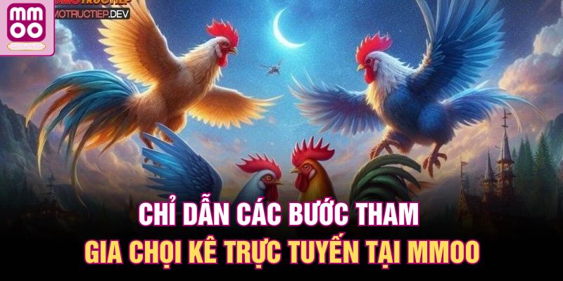 Đá Gà MMOO | Không Gian Thi Đấu Kịch Tính Cho Đam Mê Chọi Kê 3 Chỉ dẫn các bước tham gia chọi kê trực tuyến tại MMOO