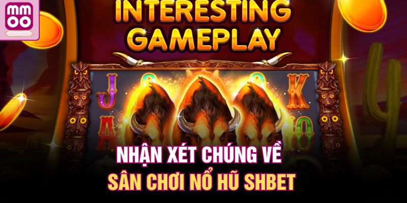 SHBET Nổ Hũ | Lựa Chọn Giải Trí Hàng Đầu Của Cao Thủ 2025 3 Nhận xét chúng về sân chơi nổ hũ SHBET