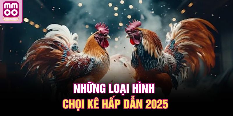 Đá Gà MMOO | Không Gian Thi Đấu Kịch Tính Cho Đam Mê Chọi Kê 2 Những loại hình chọi kê hấp dẫn 2025